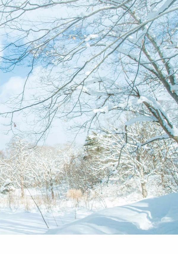 Whoseman-11-國民男友-阿部